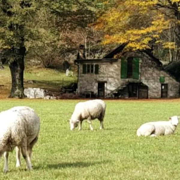 Rustico Lucia，Gordevio的飯店