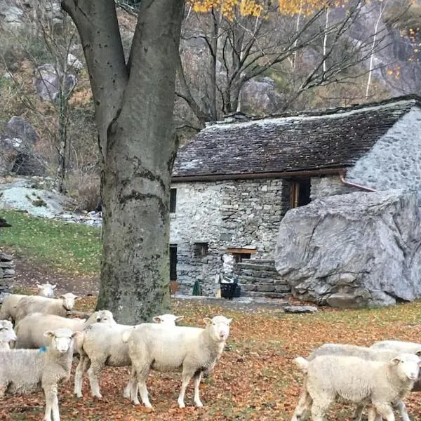 Rustico Gin Avegno Torbecc, Vallemaggia, Tessin,, hotel v destinaci Gordevio