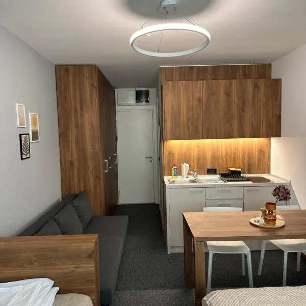 Apartman Kod Gondole Vila Bela Reka, ξενοδοχείο σε Brzeće
