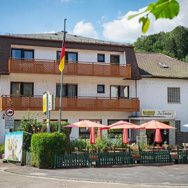Gasthof Zur Traube, ξενοδοχείο σε Finkenbach