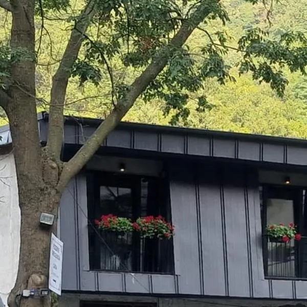 Pensiunea Casa Dimitrios-Baile Herculane -Casă Boemă cu vedere la munte apă atmosferă intimă, hotel in Băile Herculane