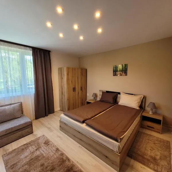 Къща за гости ЕВА, hôtel à Madzhare