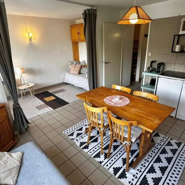 Appartement Centre Ville pied de piste Briançon, hotel v destinaci Briançon