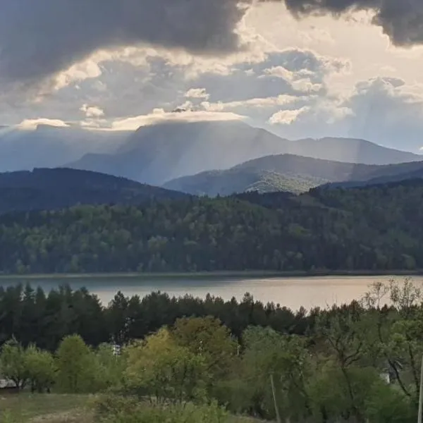 The View - Lake Resort & Spa, hotel in Rugineşti