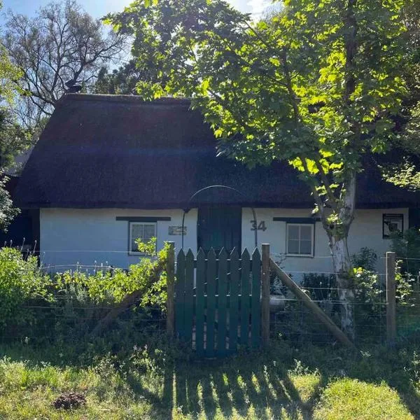 Mouse House Greyton - tiny home living, hotel in Greyton