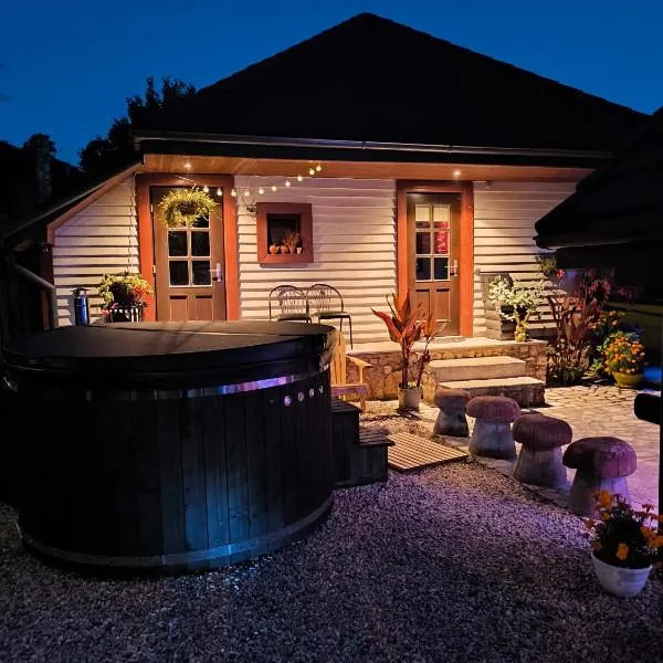 Holiday house/Brīvdienu māja in Kegums, hotel in Ķegums