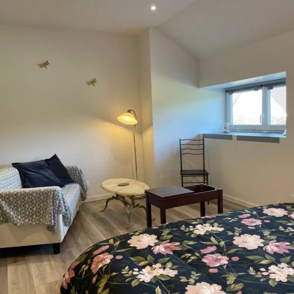 Gîte à la campagne Les Grandes Maisons Espace jacuzzi hammam SPA, hôtel à Lorris