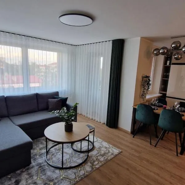 Apartment vanalinnas, hotel in Võru