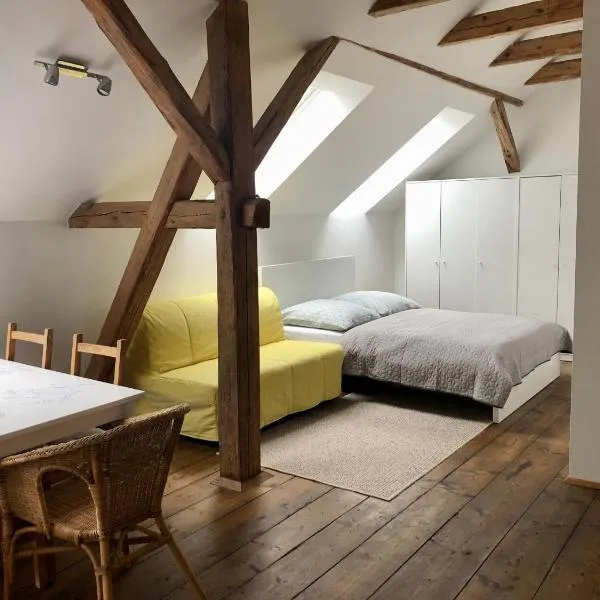 Apartmány Kosov 2, hotel a Bor