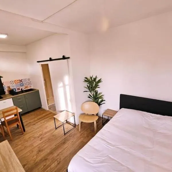 NERO studio confort tt équipé! Paris Villejuif métro 7 et 14, hotel in Villejuif