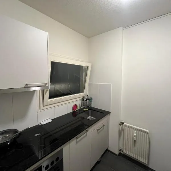 Premium Appartement Modern & Central, hotel v Basileji