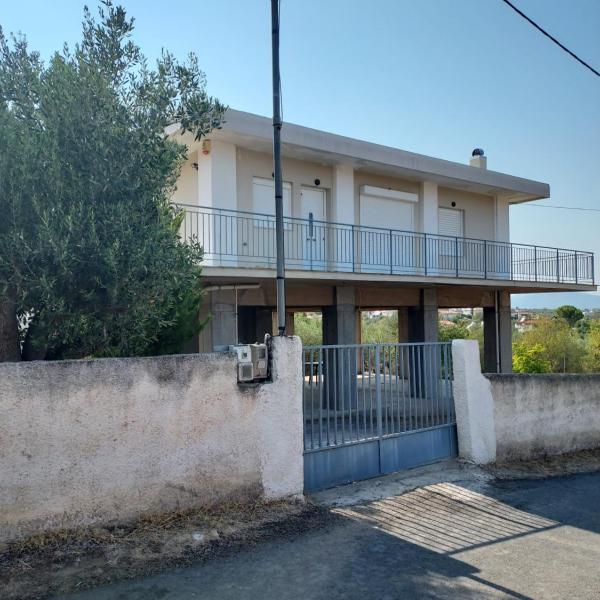 Dimitri's house, Dhílesi