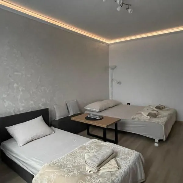 Apartman Silver Bg, hotel v destinaci Kneževac