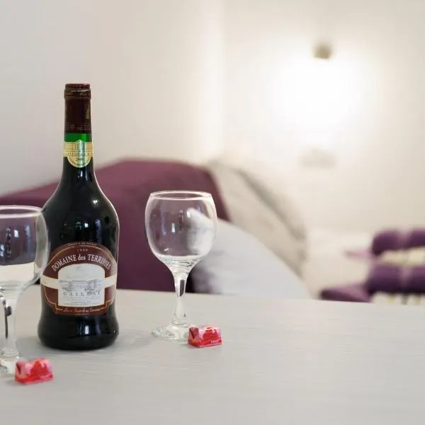 Vila Jevtić studio 1, Hotel in Sokobanja