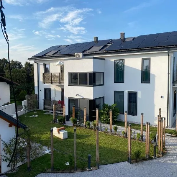 Villa Boris, hôtel à Starše