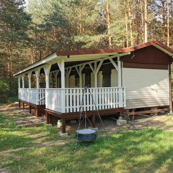 Leśna Holenderka, hôtel à Nowa Brzeźnica