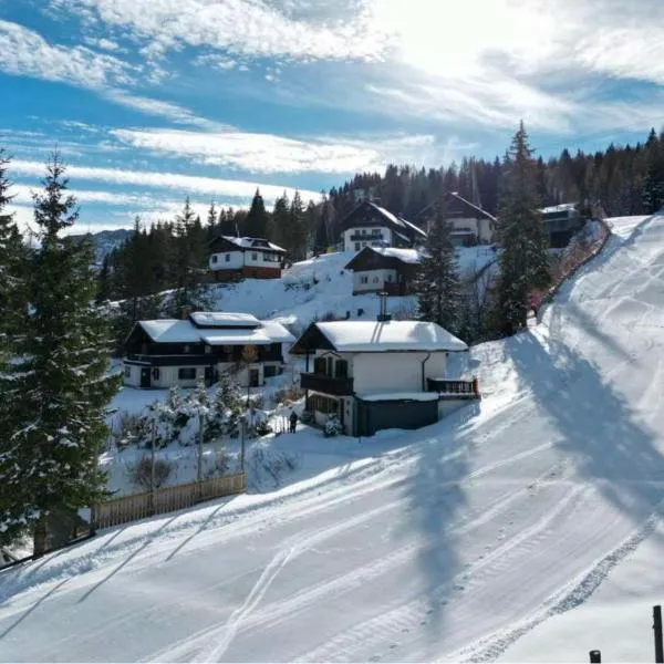Ski in & Ski out Apartment at Chalet Heinrich, ξενοδοχείο σε Sonnenalpe Nassfeld
