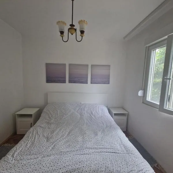 Apartman Mamut, hotel em Donji Milanovac