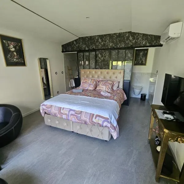 hébergement privée Jaccuzzi en supplément, hotel v destinaci Saint-Clair-du-Rhône