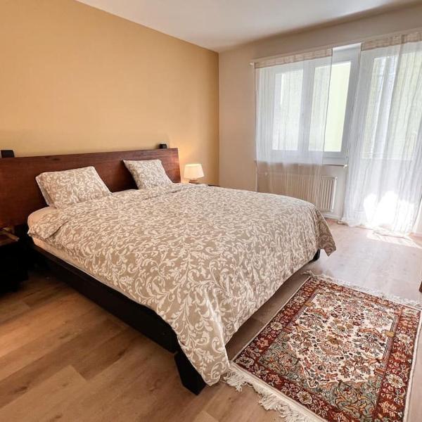 Bright Apartment in Oerlikon-Zurich 102-16, Zurich