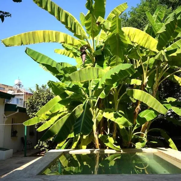 Galetta House, hotel v destinaci Famagusta