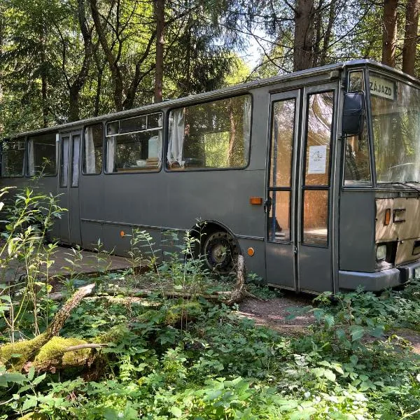 Magicbus，位于Podtureň的酒店