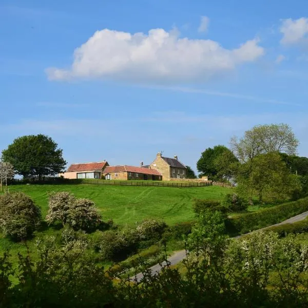 West Acre Lodge, hotell sihtkohas Boltby