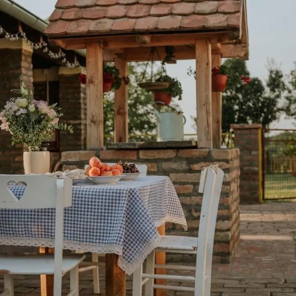 Seosko turističko domaćinstvo Biser, hotel in Stara Bingula