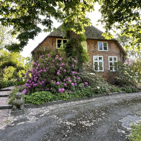 Ferienwohnung 