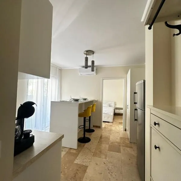 RMR Luxury Apartaments，蒂米什瓦拉的飯店