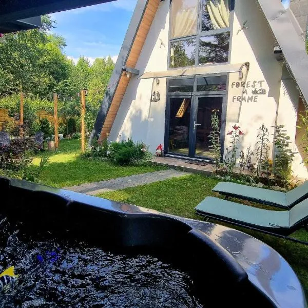 Forest A-frame-Porumbacu, hotel en Porumbacu de Sus