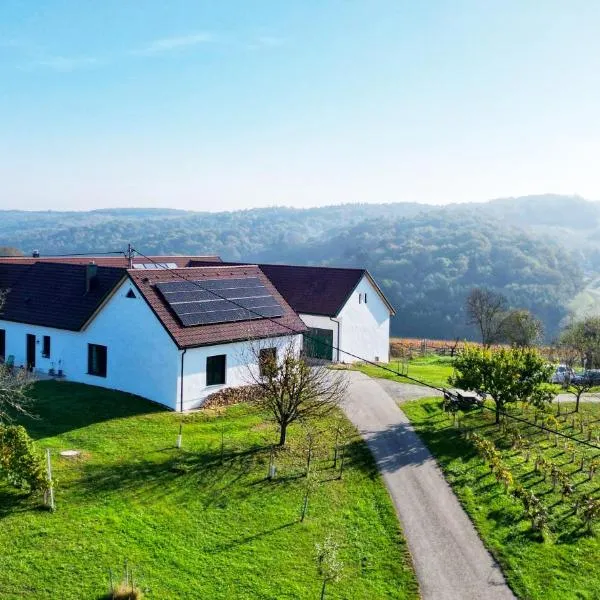 Käferberghof im Burgenland, Komfortzimmer mit Frühstück, Bed & Breakfast, Urlaub am Bauernhof, hotell sihtkohas Eltendorf