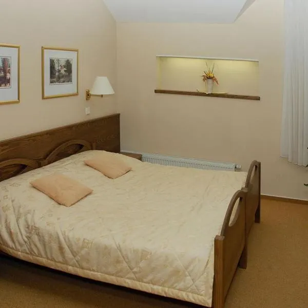 Hotel Restaurant Modrá Hvězda, hotel in Dobřany