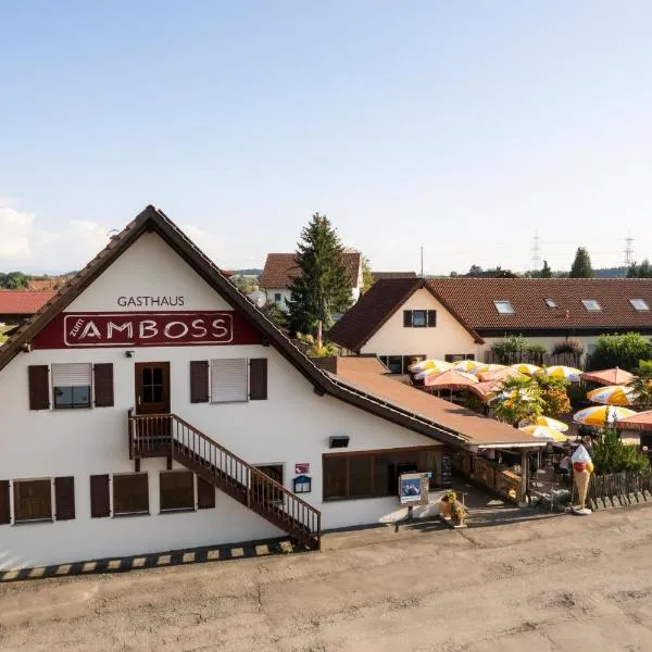 Altbau Gasthaus Amboss, готель у місті Grünkraut