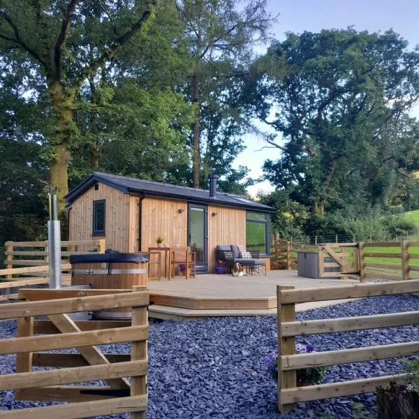 Ty Nant Gwenyn、Llanymawddwyのホテル