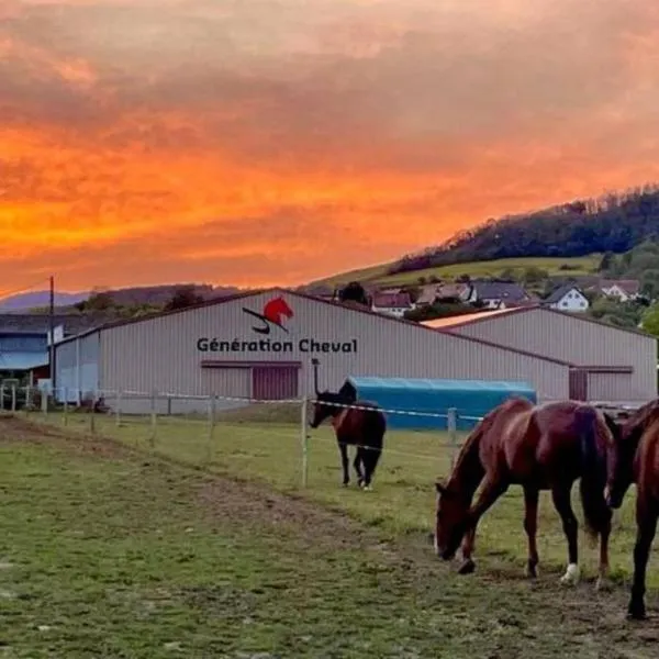 Gîte Ferme équestre, Hotel in Wangen
