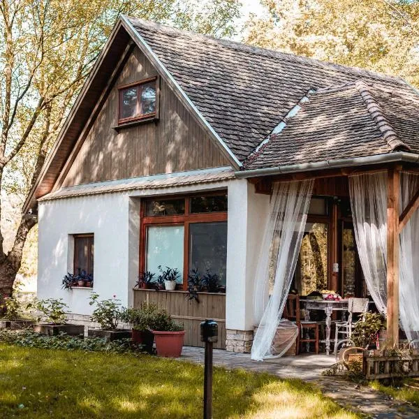 Erdőszéli Házikó, hôtel à Baja