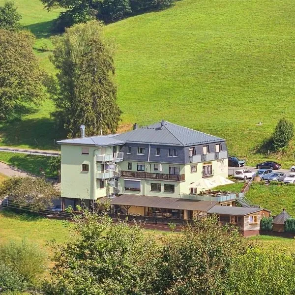 Hotel Grüner Baum mit Restaurant & Wellness, ξενοδοχείο σε Beerfelden