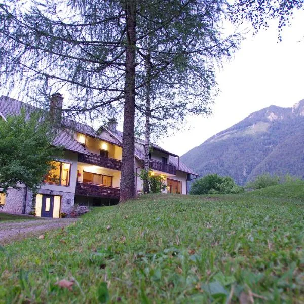 Gaj pod brezami, hotell sihtkohas Luče