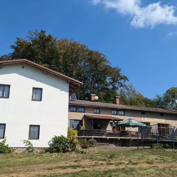 U Kodrů, hotel in Semily