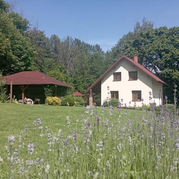 Domek v osadě Kladiny, Jelcovy Lhotky