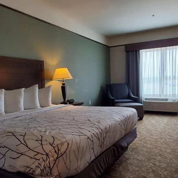 Best Western Plus Emory at Lake Fork Inn & Suites, Hotel in Emory