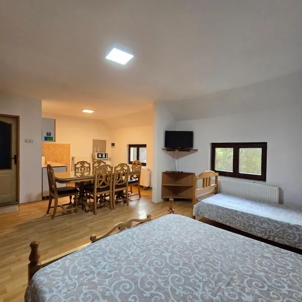 STD "Vila Bor" Stara planina, ξενοδοχείο σε Crni Vrh