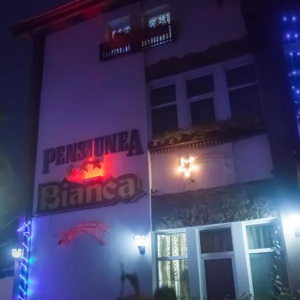 Pensiunea Bianca, מלון בבוטושאני