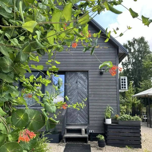 Amazing little house on an island with garden, hotel in Rīga
