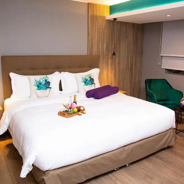 Palmetto Hotel Business San Borja, hotel en Lima