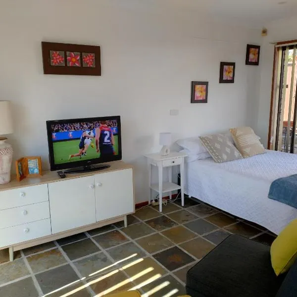 Tree Tops Studio Bangor, hotel in Bangor