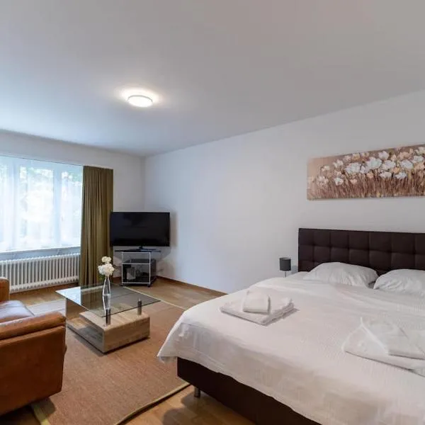 Amazing studio city center - Wille 4, hotel en Zúrich