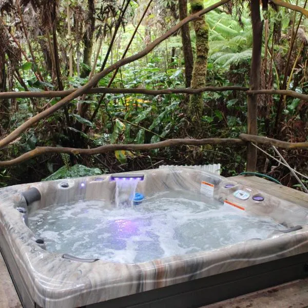 Hale Kumu La'au- A'a, hotel v destinaci Volcano