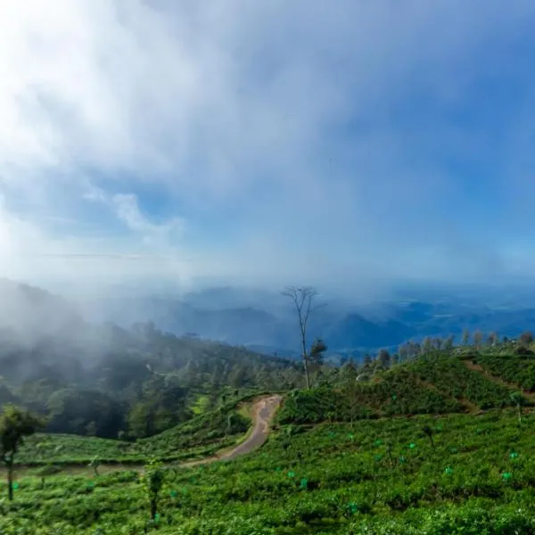 Leisure Mount Villa, hotel v destinaci Haputale